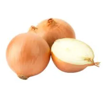Frozen Onion (40)-4287033-66840.webp